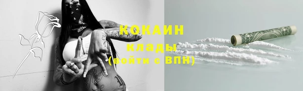 кокс Алзамай