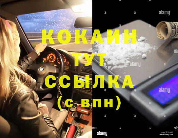 стафф Алексин