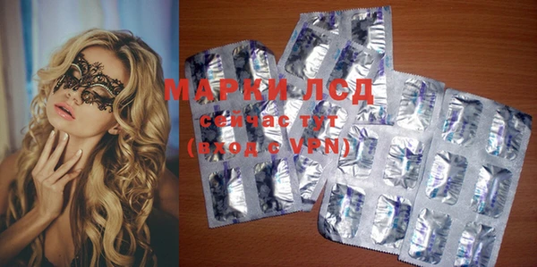 стафф Алексин