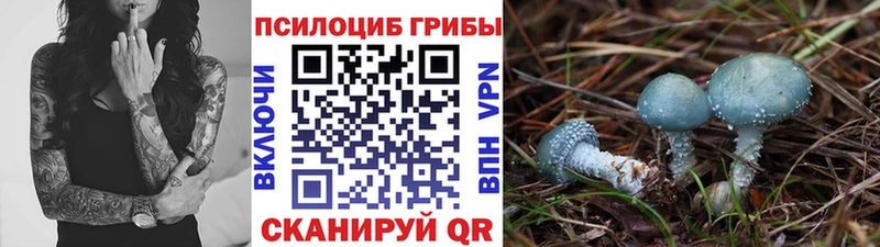 blacksprut зеркало  Глазов  Псилоцибиновые грибы мухоморы 