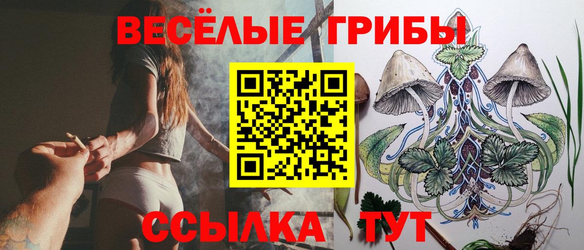 Галлюциногенные грибы Psilocybe Глазов