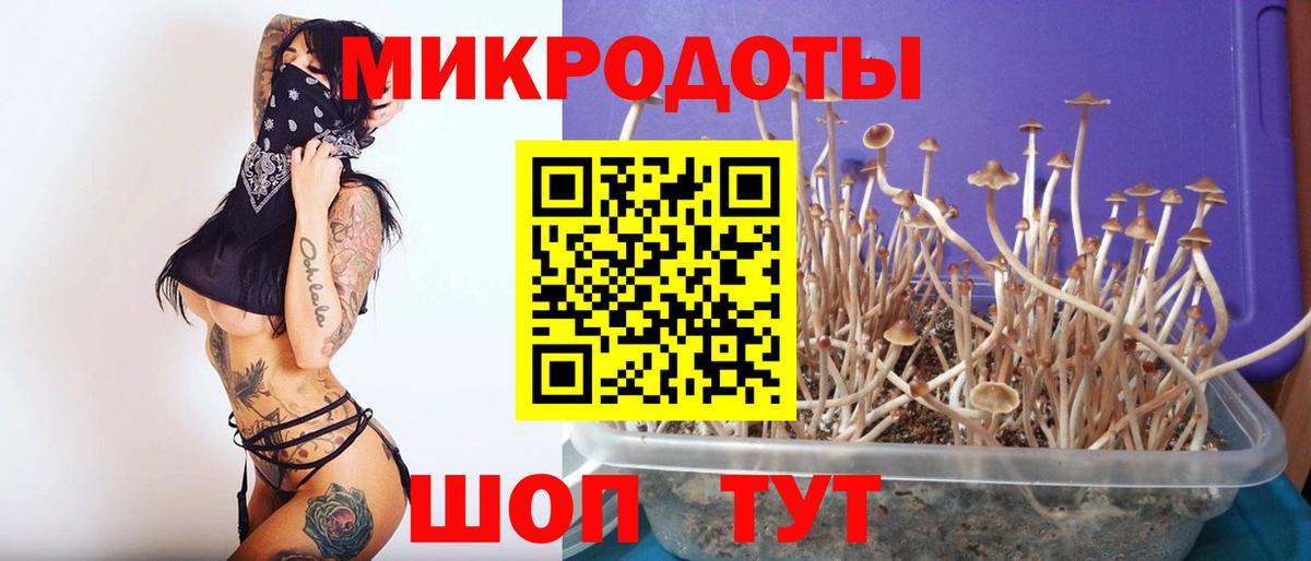Псилоцибиновые грибы Magic Shrooms  Вход с VPN  Глазов 